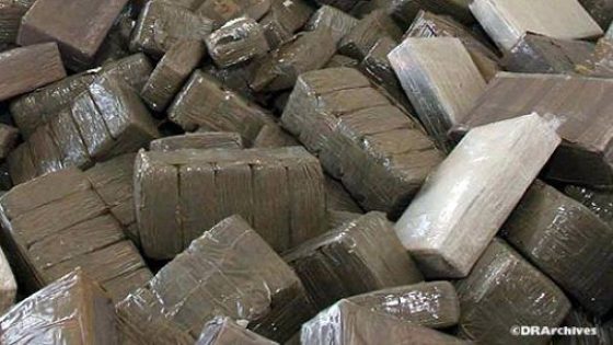 إسبانيا.. تفكيك شبكتين للاتجار في الحشيش بتعاون مع المديرية العامة للأمن الوطني.