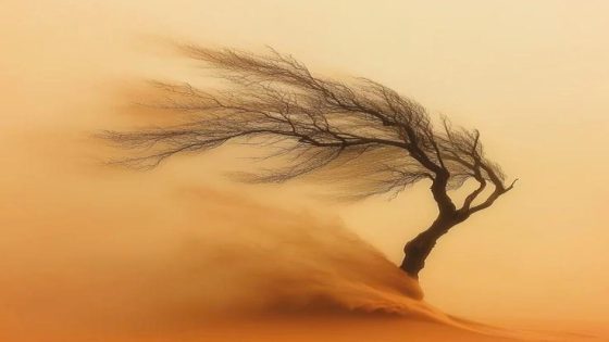 صـــدى الكلمـــات.. الجســد هو وعاء الــروح..