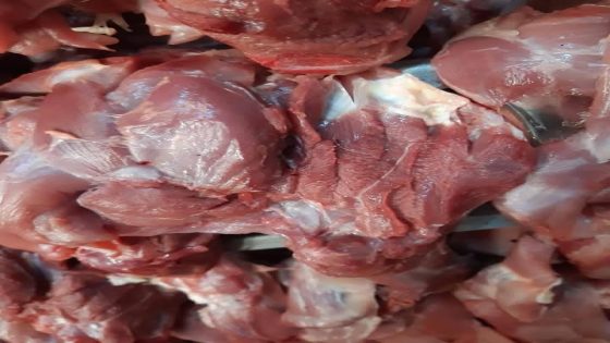 ضبط لحوم فاسدة باولاد عبو هل جدية في المراقبة ام ما خفي كان أعظم؟