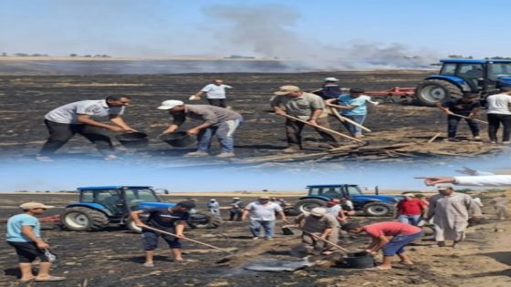 تعبئة استثنائية وتدخل ميداني حاسم يسيطر على حريق المحاصيل الزراعية بجماعة أحلاف بإقليم بنسليمان.