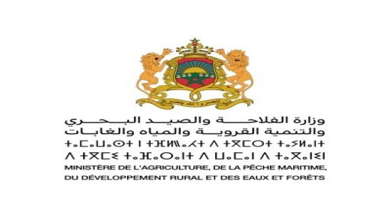وزارة الفلاحة تعفي مدير المكتب الجهوي للاستثمار الفلاحي لدكالة من مهامه