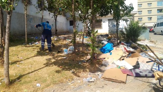 حملة واسعة للنظافة بالملحقة الإدارية 20 بطنجة بتعليمات من والي الجهة لتحسين المشهد الحضري.