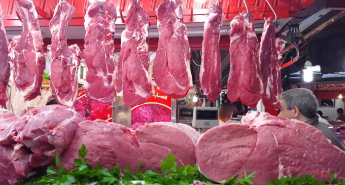 ارتفاع أسعار اللحوم وخصاص مرتقب في رمضان، في ظل تأخر الإجراءات الحكومية..