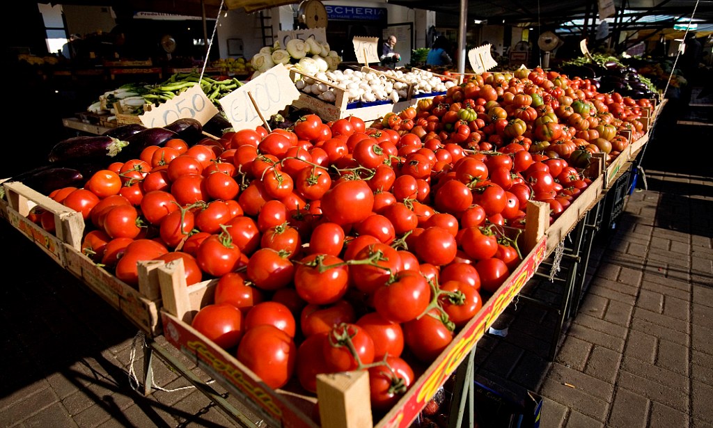 الطماطم .. ارتفاع الأسعار أمام ضعف الإنتاج والتكاليف الباهظة