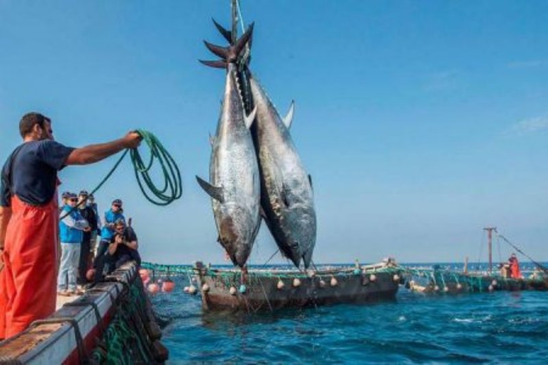 المغرب / موريتانيا .. توقيع بروتوكول خاص بأنشطة التعاون في مجال الصيد البحري