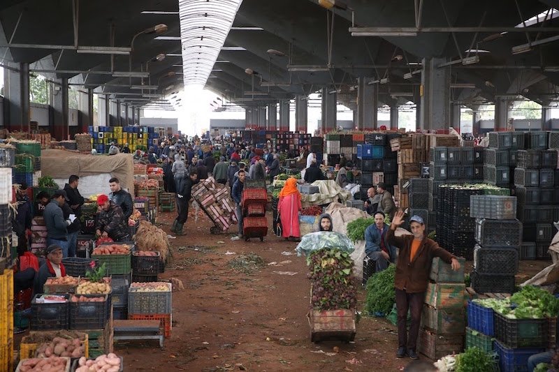الدار البيضاء .. اللجوء إلى بيع الأسواق الجماعية
