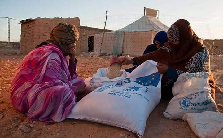 ميهايلوفوسيتش.. مساءلة الجزائر بشأن مسؤوليتها عن تحويل المساعدات الإنسانية المخصصة لمخيمات تندوف
