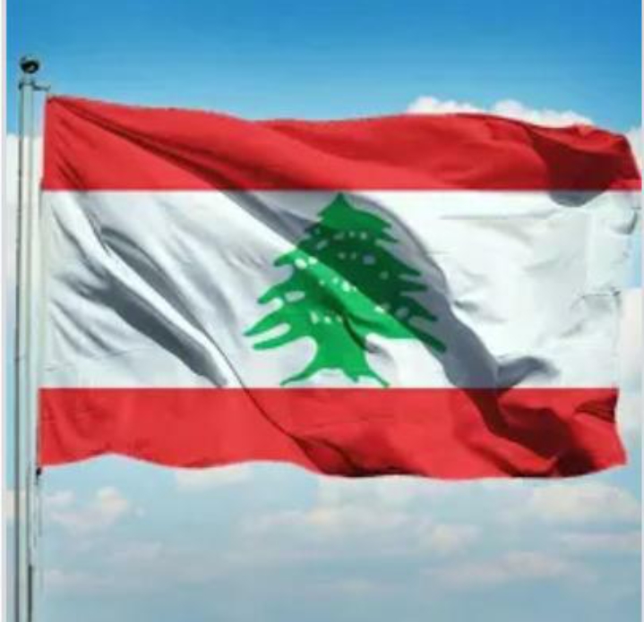 العلم اللبناني وكمال جنبلاط.