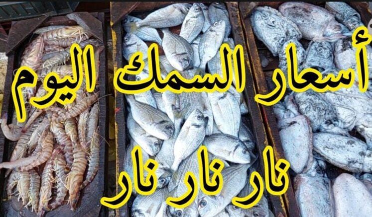أسعار الأسماك في الأسواق المغربية تلهب جيوب المواطنين المغاربة خلال شهر رمضان المبارك