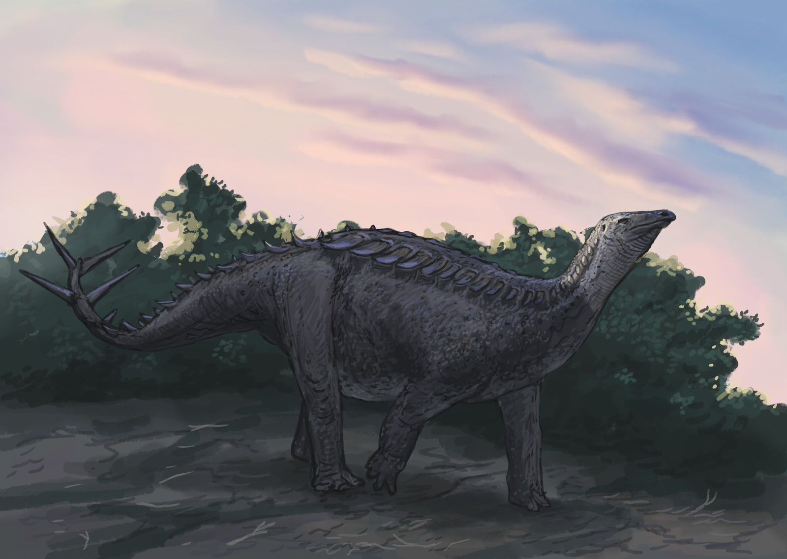 المغرب : اكتشاف نوع جديد من الديناصورات ببولمان (الأطلس المتوسط) عاش قبل حوالي 165 مليون سنة.