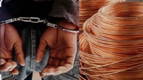 عملية أمنية نوعية في بركان تسفر عن اعتقال “لافيراي” أكبر تاجر متلاشيات متورط في قضايا سرقة سيارات وأسلاك نحاسية.