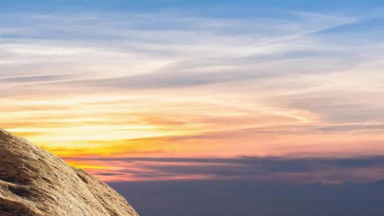 صدى الكلمات… الوحدة لا التفرقة..!!