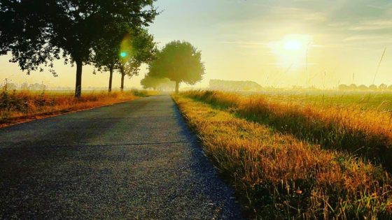 صدى الكلمات…ذهنية اللصوص واحدة….