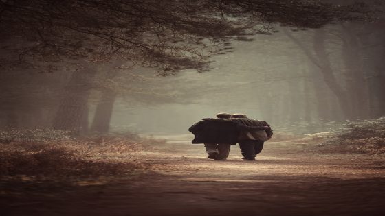 صـــدى الكلمـــات..فــي زحــام الــحــيــاة..