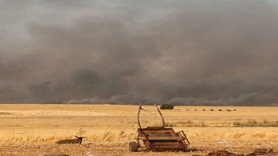 سطات : حرائق أولاد سعيد تستنفر الشاوية ومطالب بتدخل حكومي عاجل وطائرات “كنادير”