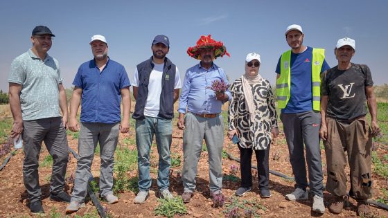 زراعة الزعتر بوادي زم.. نجاح واعد يفتح آفاقاً جديدة للتعاونيات الفلاحية بإقليم خريبكة.