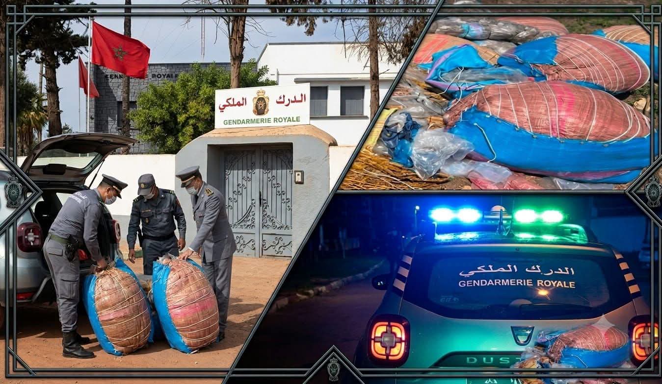 تمكنت عناصر المركز الترابي للدرك الملكي بأولاد فرج
