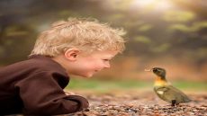 صـــدى الكلمـــات…لا تجعل قلـبك في شيخوخـــة مبكـــرة..
